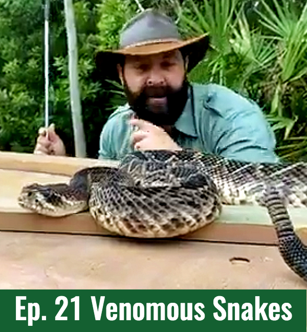 School of Croc Ep. 21 Venomous Snakes