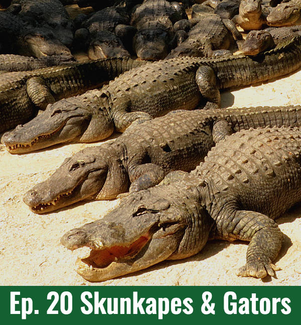 School of Croc Ep. 20 Skunkapes & Gators