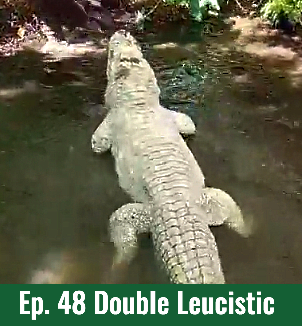 School of Croc Ep. 48 Double Leucistic