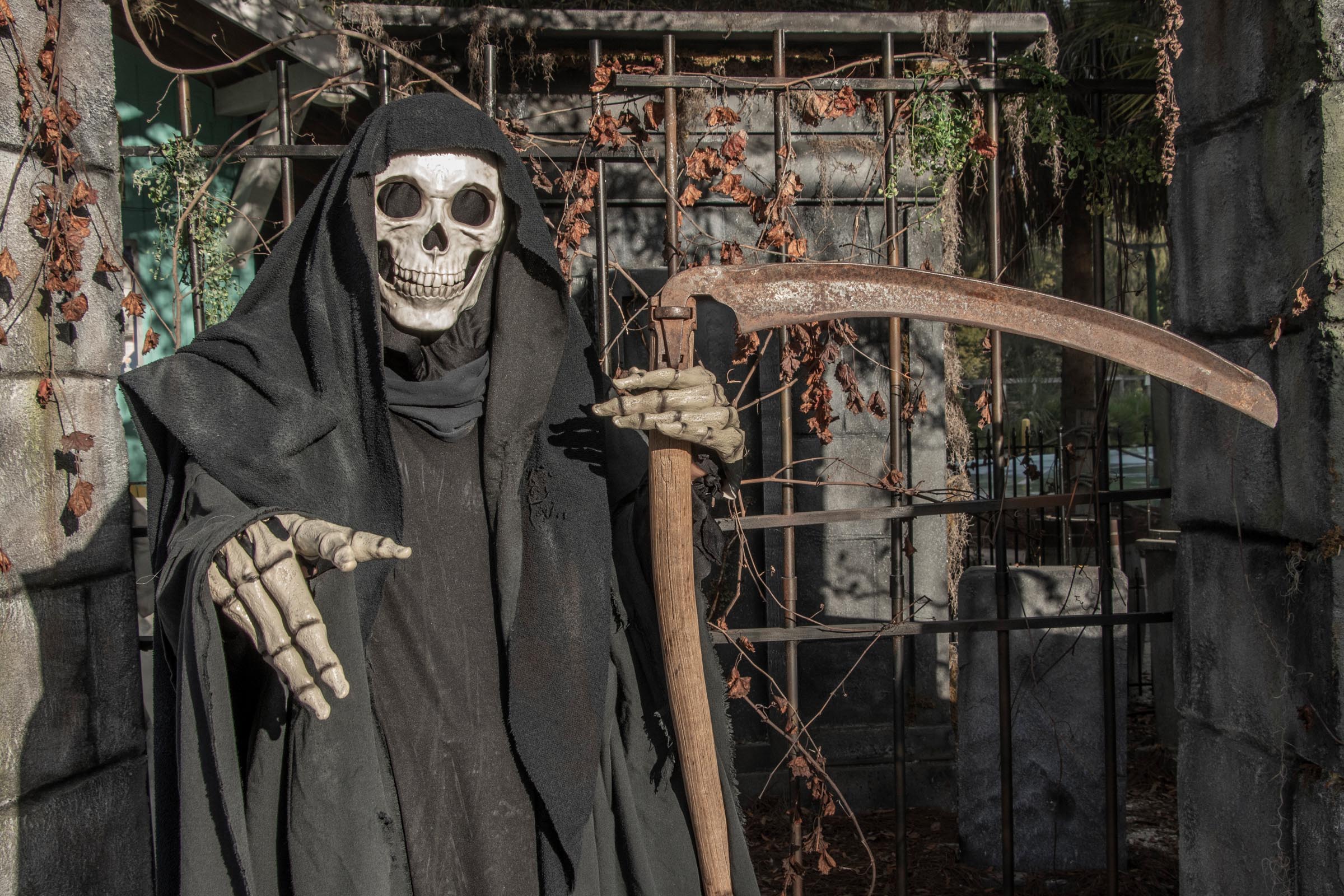 Meet our creepy animals at Gators, Ghosts and Goblins, Gatorland's Halloween event!