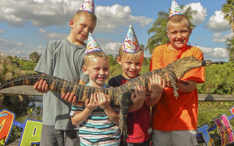 Birthday Party | Gatorland | Orlando Florida Family Adventure Theme Park