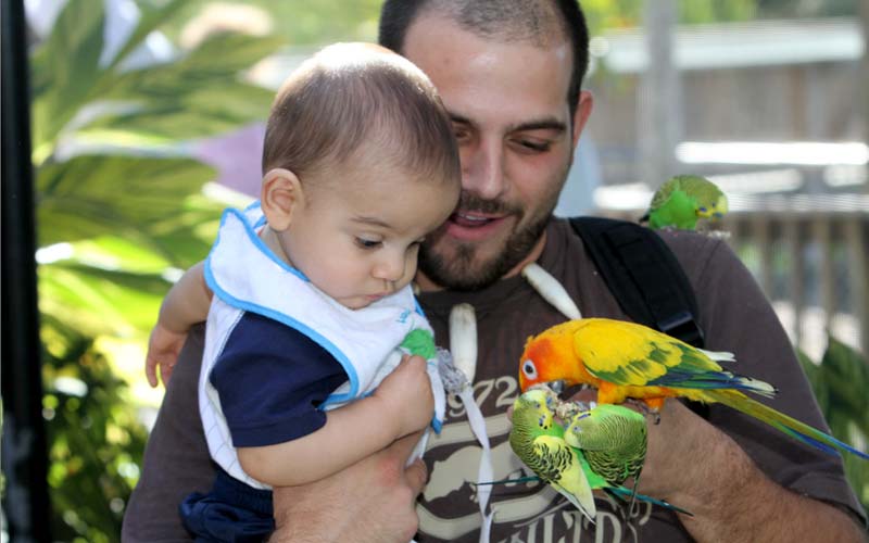 Birds | Gatorland | Orlando Florida Family Adventure Theme Park