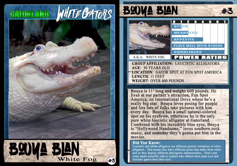 Bouya Blan | White Gator Trading Cards | Gatorland | Orlando Florida Family Adventure Theme Park