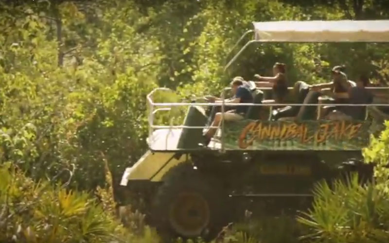 gatorland swamp buggy
