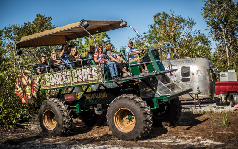 gator off road buggy