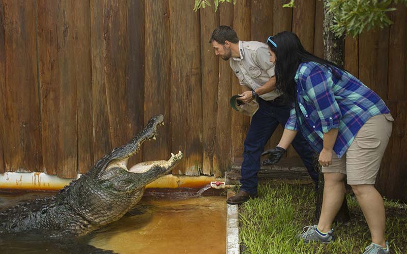 Trainer for A Day | Gatorland | Orlando Florida Family Adventure Theme Park